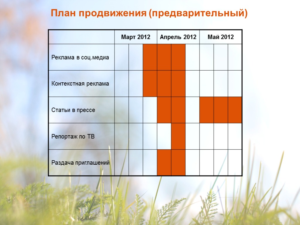 План продвижения (предварительный)